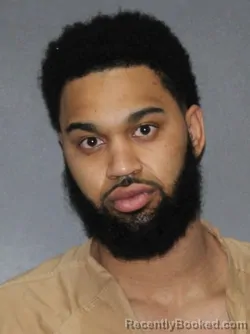 Booking photo from Elkhart County, Indiana