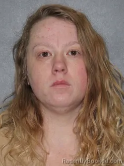 Booking photo from Elkhart County, Indiana