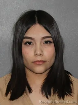 Booking photo from Elkhart County, Indiana