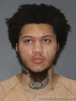 Mugshot of Jehlin Raymee Houston