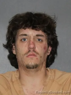 Mugshot of Zaynne Lee Wiesman