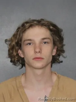 Mugshot of Dorian M. McDaniel