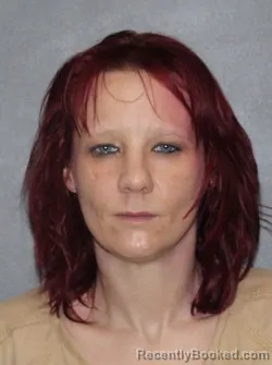 Mugshot of Amanda Lynn Linville