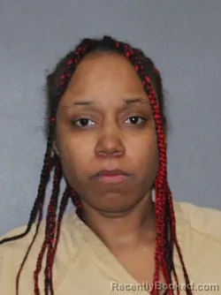 Booking photo from Elkhart County, Indiana