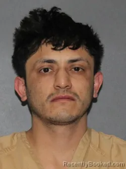Mugshot of Ricardo Mellado Garcia