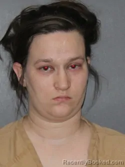 Booking photo from Elkhart County, Indiana