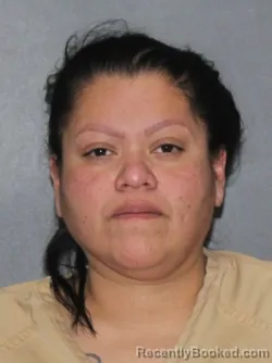 Mugshot of Cynthia Amanda Tello