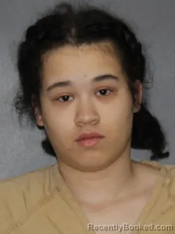 Booking photo from Elkhart County, Indiana