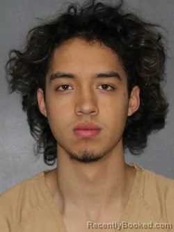 Mugshot of Deimon Villota Luna booked in Elkhart County, Indiana on March 14, 2026