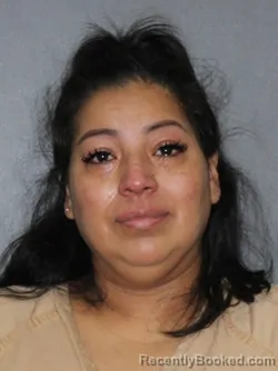 Mugshot of Maria Dilma Amaya Ramirez booked in Elkhart County, Indiana on March 6, 2026