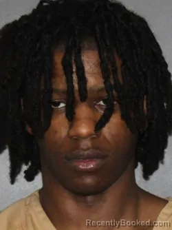 Mugshot of Alvonte Letai Fox booked in Elkhart County, Indiana on March 8, 2026