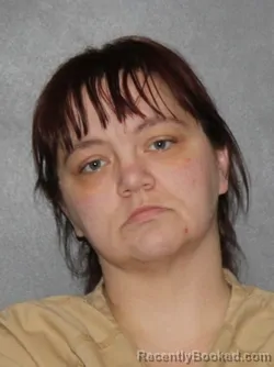 Mugshot of Sarah Elizabeth Anderson booked in Elkhart County, Indiana on March 8, 2026