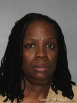 Mugshot of Lolita McNeal