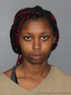 Mugshot of Janiah Christana Sheree Harris booked in Elkhart County, Indiana on March 13, 2026