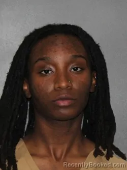 Mugshot of India Mckinney booked in Elkhart County, Indiana on March 14, 2026