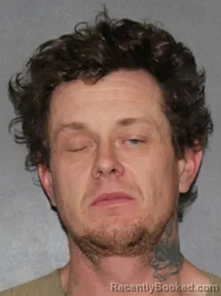 Mugshot of Richard Robert Johnson booked in Elkhart County, Indiana on March 15, 2026