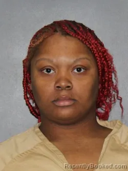 Mugshot of Aniah Lena Ray booked in Elkhart County, Indiana on March 20, 2026