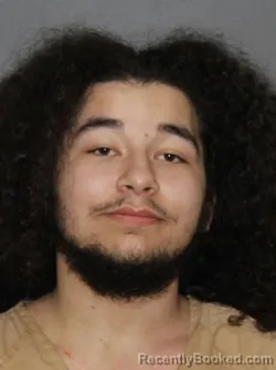 Mugshot of Devin Michael Grabowski booked in Elkhart County, Indiana on March 24, 2026