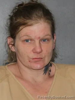 Mugshot of Destiny Collins booked in Elkhart County, Indiana on March 26, 2026