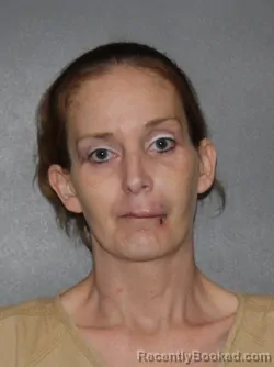 Mugshot of Brooke Zandra Townsend booked in Elkhart County, Indiana on March 26, 2026