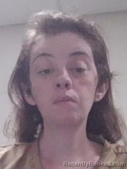 Mugshot of Amanda Kay Long booked in Elkhart County, Indiana on March 29, 2026