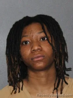 Booking photo from Elkhart County, Indiana