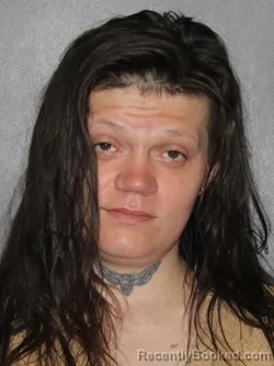 Booking photo from Elkhart County, Indiana