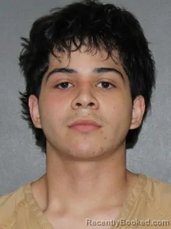 Booking photo from Elkhart County, Indiana