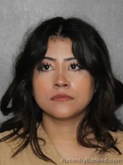 Mugshot of Maydelin Alejandre-Valenzuela booked in Elkhart County, Indiana on May 29, 2026