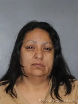 Mugshot of Sonia Salas Zacarias booked in Elkhart County, Indiana on June 8, 2026