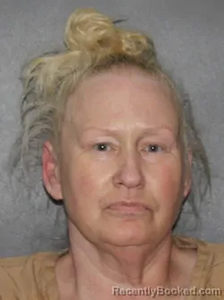 Mugshot of Pamela J Amerman booked in Elkhart County, Indiana on July 10, 2026