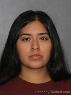 Mugshot of Evelyn Garcia Garcia booked in Elkhart County, Indiana on July 3, 2026