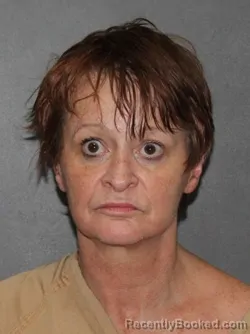 Mugshot of Janice Renee Gill booked in Elkhart County, Indiana on July 4, 2026