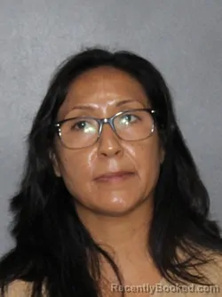 Mugshot of Minerva Romero Rangel booked in Elkhart County, Indiana on July 5, 2026