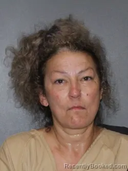 Mugshot of Beth Taylor booked in Elkhart County, Indiana on July 25, 2026