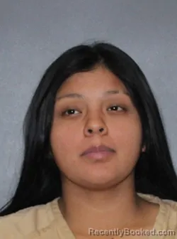 Mugshot of Ana G Sanchez Garcia booked in Elkhart County, Indiana on August 23, 2026