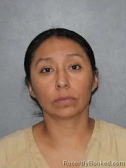 Mugshot of Angelica Garay Salinas booked in Elkhart County, Indiana on August 29, 2026