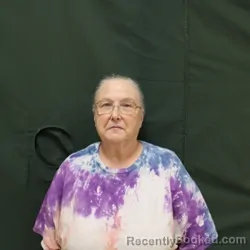 Mugshot of LISA A WALKER