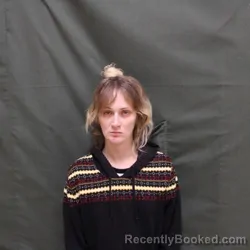 Mugshot of MISTY L ANDERSON