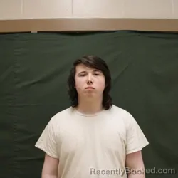 Mugshot of DAVID E FREEMAN booked in Fountain County, Indiana on April 22, 2026