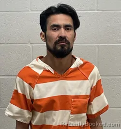 Mugshot of FELIX T RAMOS TRUJILLO