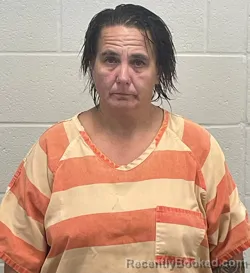 Mugshot of WILLAMINA DAWN THOMAS booked in Fulton County, Indiana on April 24, 2026