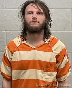 Mugshot of DANNY RAY CLARK