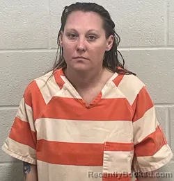 Mugshot of ASHLEE NICOLE HARPER