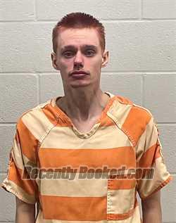 Booking photo from Fulton County, Indiana