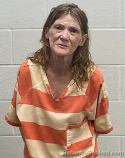 Mugshot of CINDYMAE FORSYTHE booked in Fulton County, Indiana on March 15, 2026