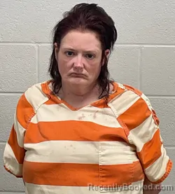 Mugshot of APRIL MARIE LOCKRIDGE booked in Fulton County, Indiana on March 23, 2026