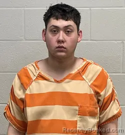 Mugshot of BRENT ALAN ROSS