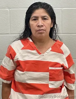Mugshot of ENMA JIMENEZ ANDRES