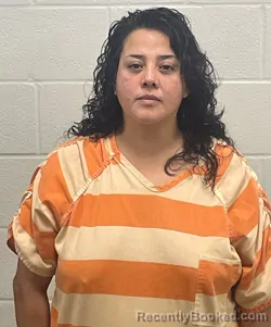Mugshot of LAURA AMELIA LOPEZ DELGADO